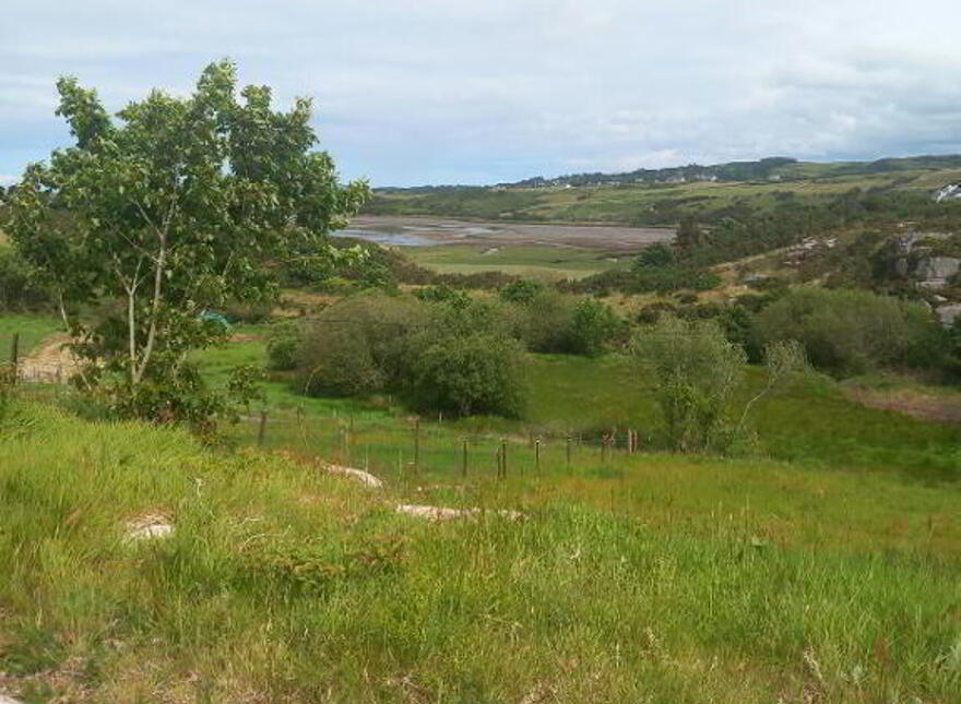 Ardsbeg, Gortahork