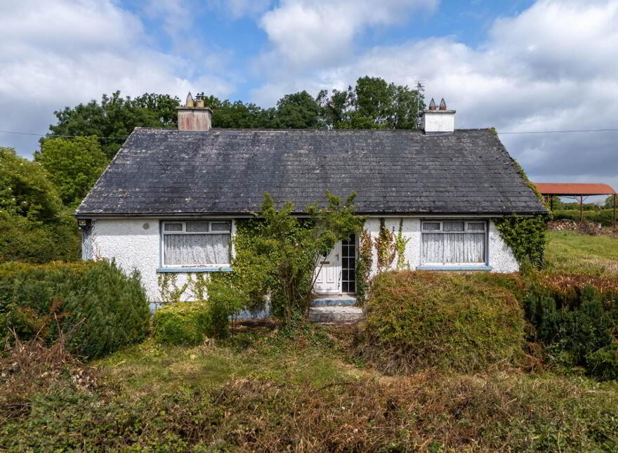 Ballincur, Rahan photo