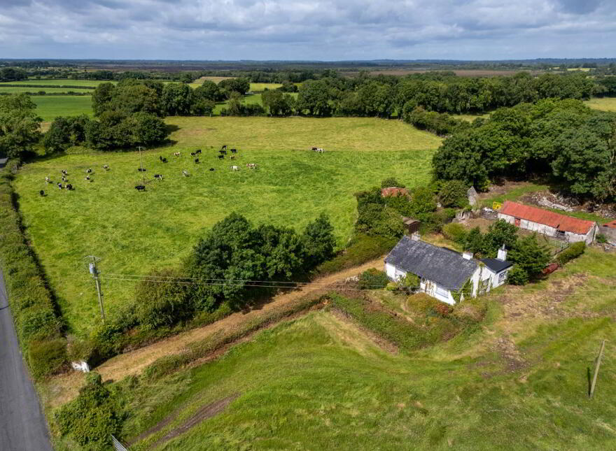 Ballincur, Rahan