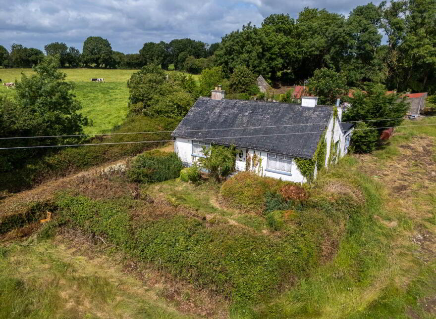 Ballincur, Rahan