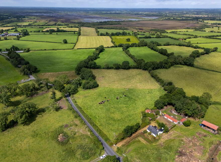 Ballincur, Rahan