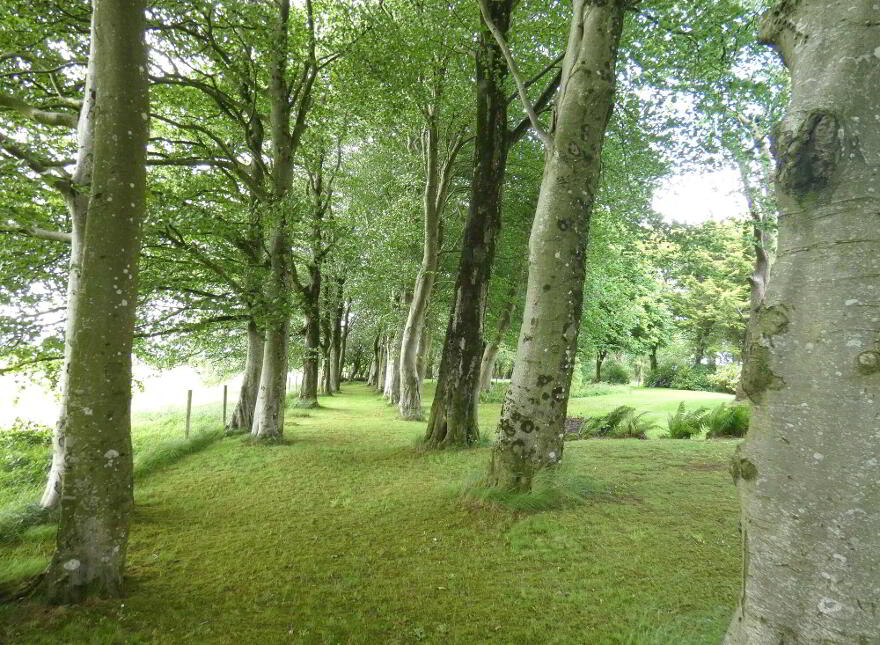 Seacon House, 36 Seacon Park, Ballymoney, BT53 6QB