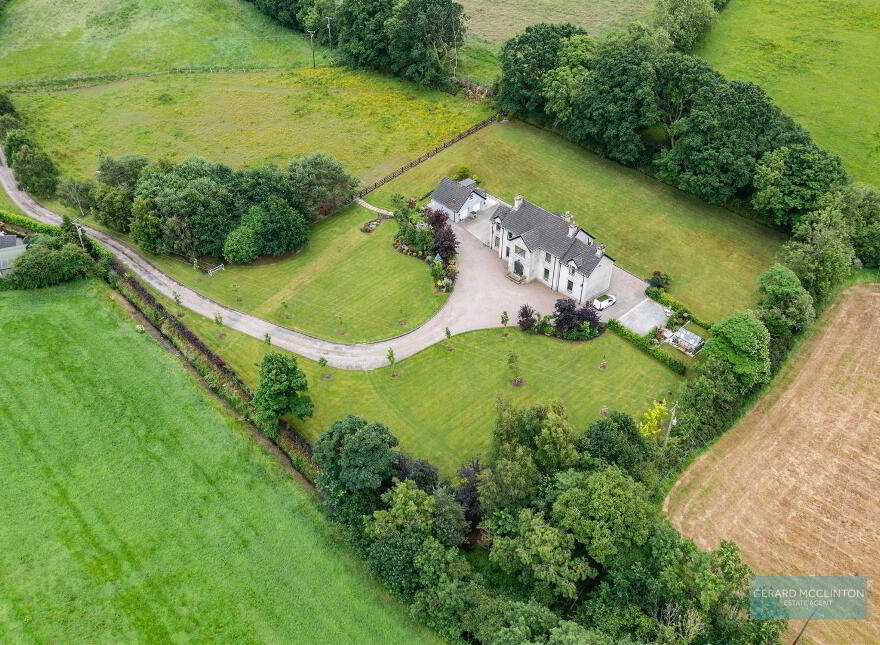 101 Villa Wood Road, With 3.6 Acres Inc Paddock, Dromore, BT25 1LQ