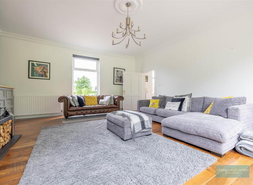 101 Villa Wood Road, With 3.6 Acres Inc Paddock, Dromore, BT25 1LQ