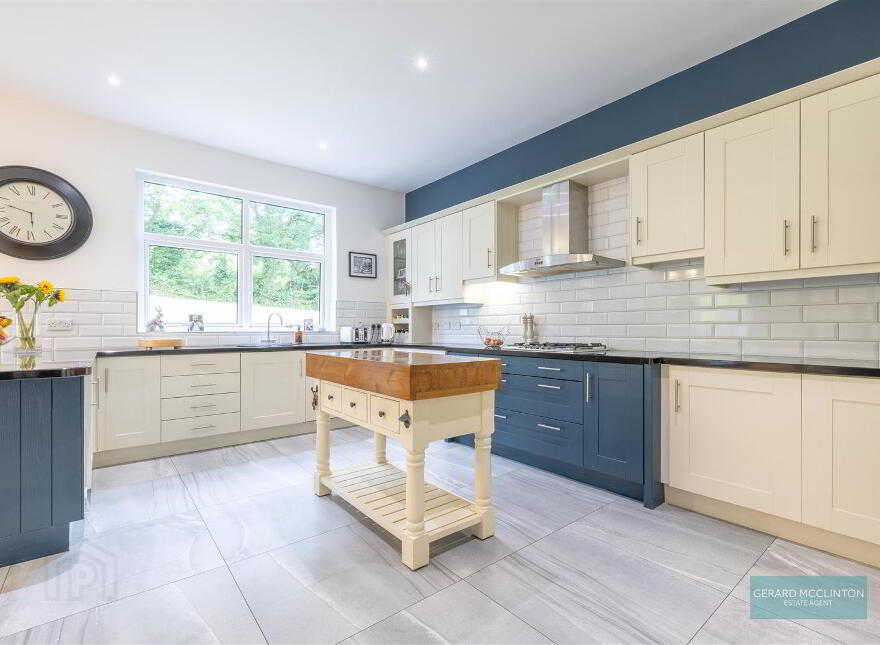 101 Villa Wood Road, With 3.6 Acres Inc Paddock, Dromore, BT25 1LQ