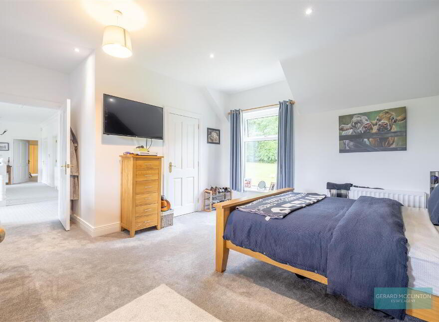 101 Villa Wood Road, With 3.6 Acres Inc Paddock, Dromore, BT25 1LQ