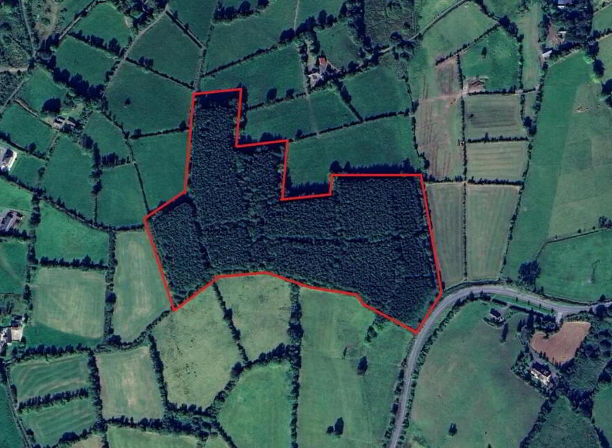 Corracarrow, Ballyjamesduff, A82YC44