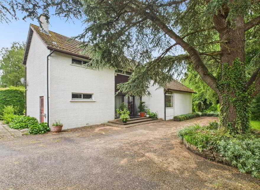 Roseamile, Gortlandroe, Nenagh, E45YD71 photo