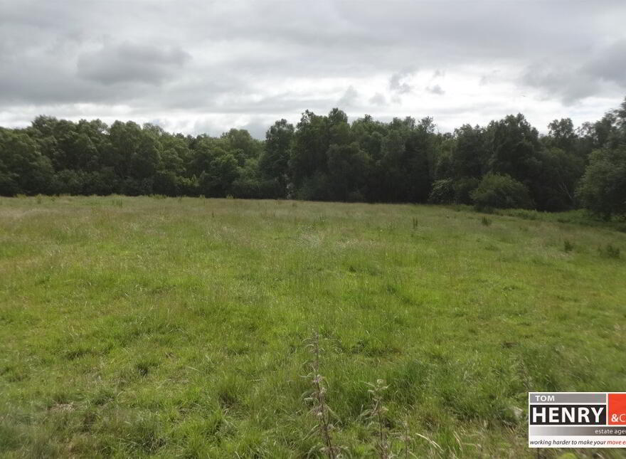 Tamnamore Road, Dungannon, BT71 6HW photo