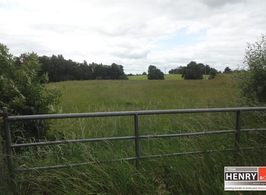 Tamnamore Road, Dungannon, BT71 6HW
