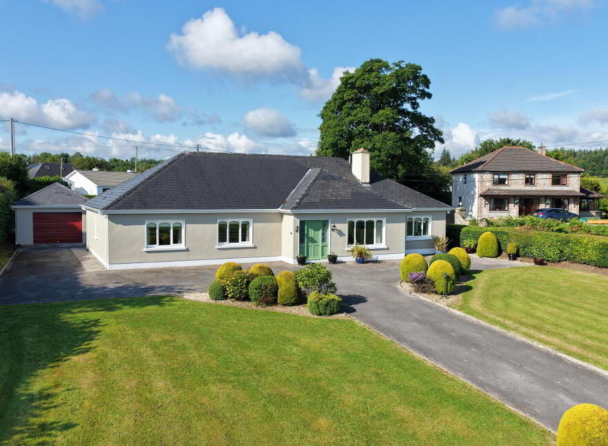 Killaneen, Ballinamore, N41K761