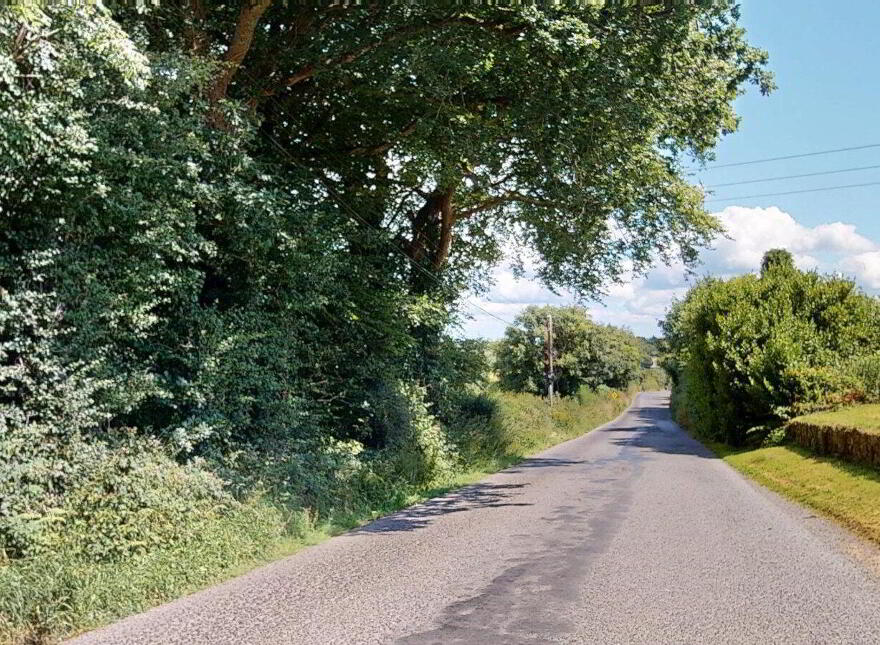 Moneyhore, Caim, Enniscorthy, Y21E8P3