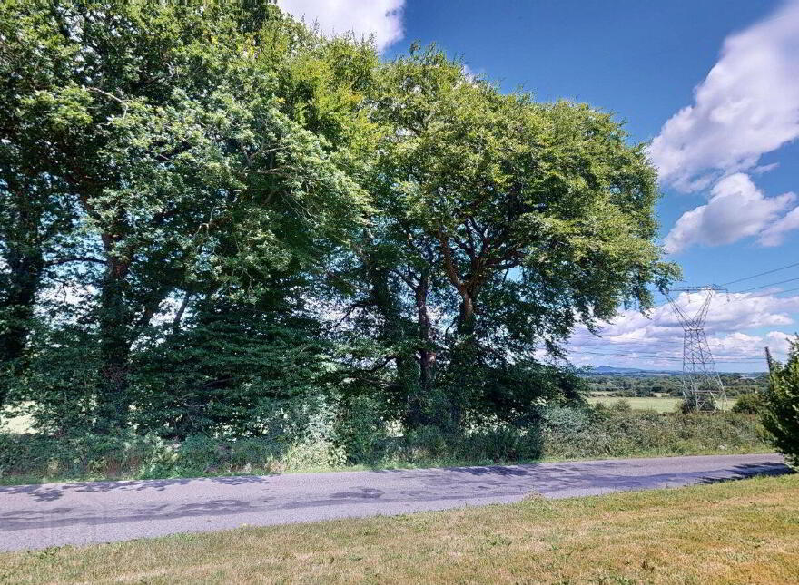 Moneyhore, Caim, Enniscorthy, Y21E8P3