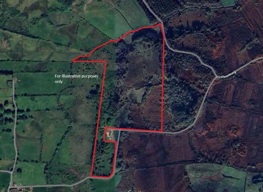 Toomore, Foxford