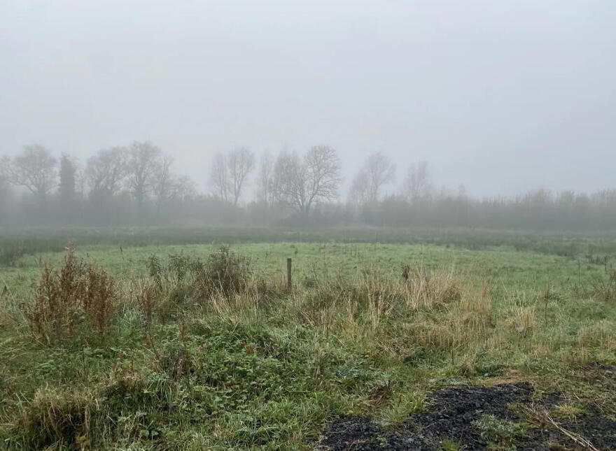 Coolcraff, Abbeylara, N39EY81