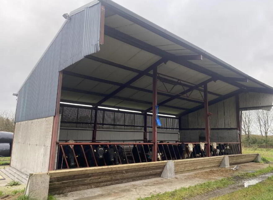 Coolcraff, Abbeylara, N39EY81