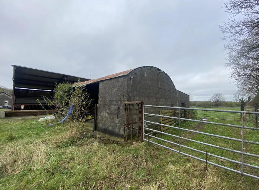 Coolcraff, Abbeylara, N39EY81