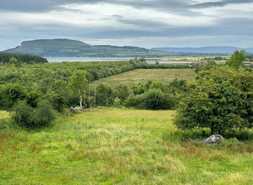 Lugnadeffa, Ballisodare, Ballisodare BER Number: NA
