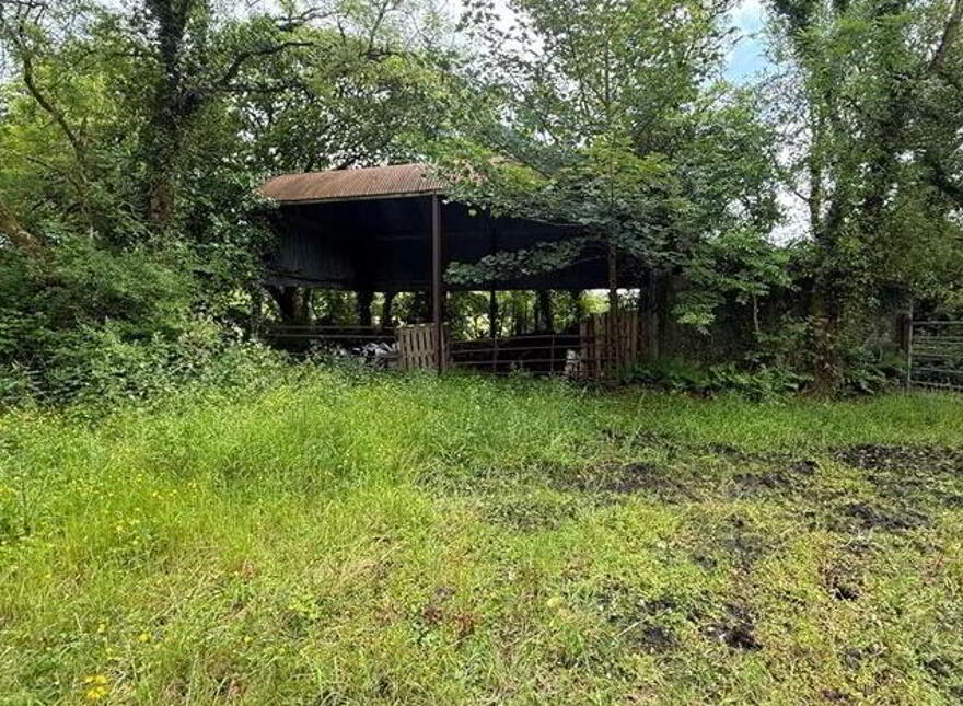 Cloonfad, Tibohine, Roscommon, F45HT67