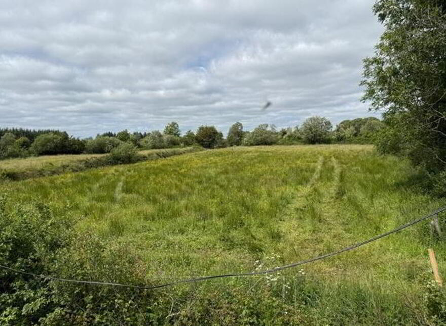 Cloonfad, Tibohine, Roscommon, F45HT67