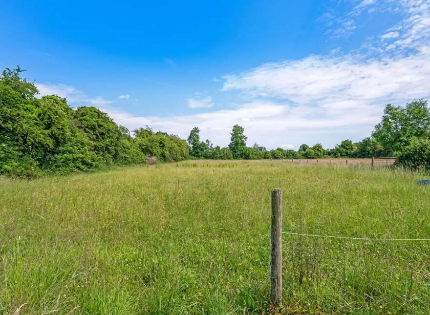 Cloneycavan, Ballivor, C15TR63