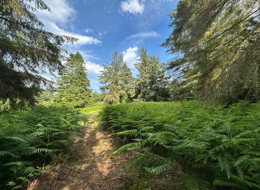 Carrick Road, Ballygowan, Kilmoganny, R95F8F1