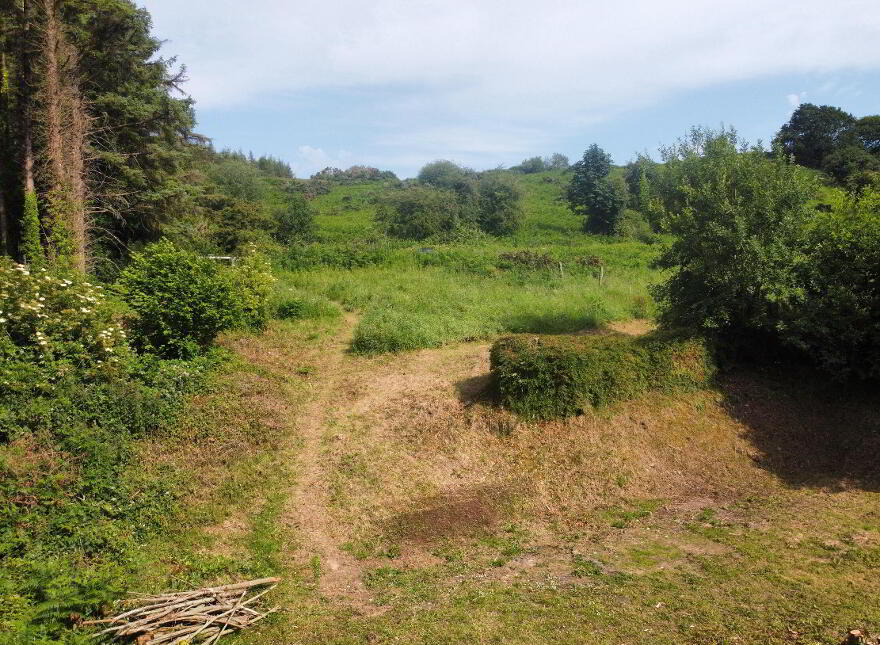 Carrick Road, Ballygowan, Kilmoganny, R95F8F1