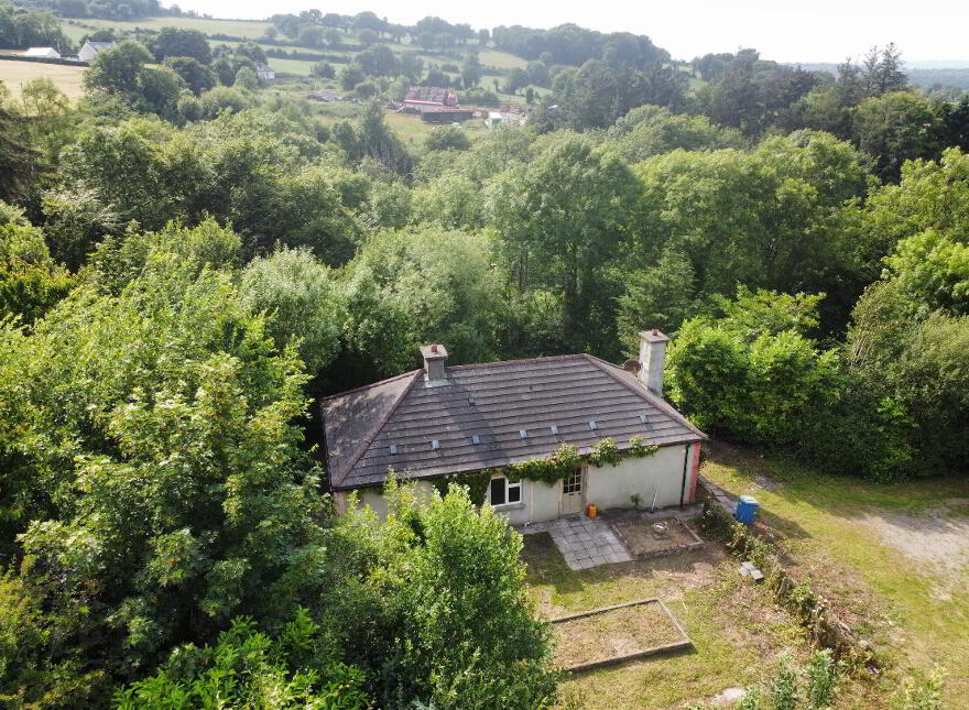 Carrick Road, Ballygowan, Kilmoganny, R95F8F1