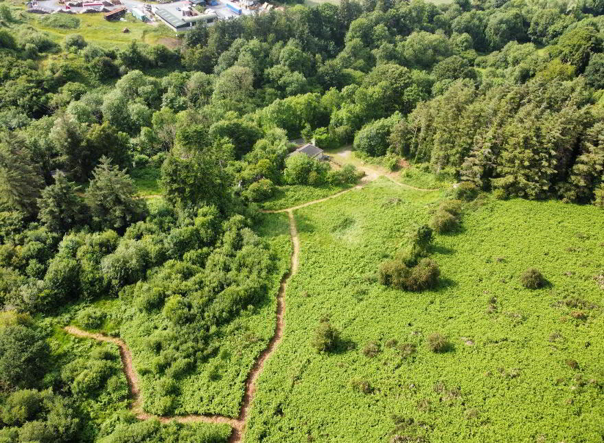 Carrick Road, Ballygowan, Kilmoganny, R95F8F1