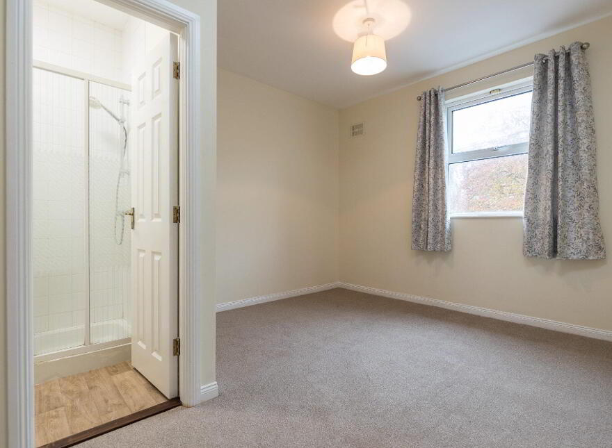 2 Chaff Street, Graiguecullen, R93Y735