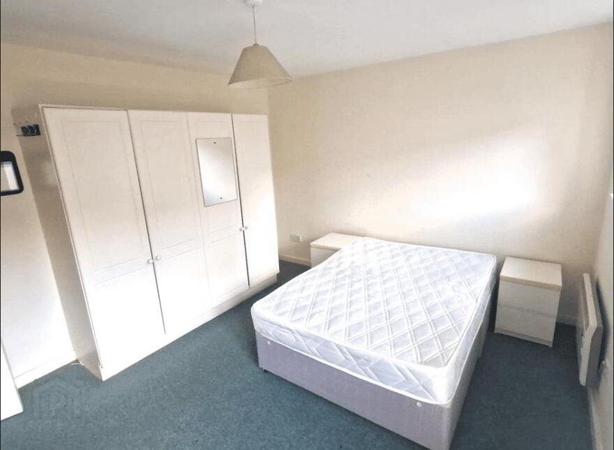 31 Ferrybank, Leighlin Road, Graiguecullen, R93PY57