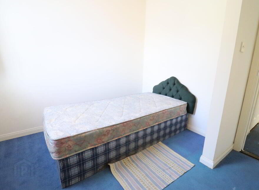4 Chaff Street, Graiguecullen, R93Y327