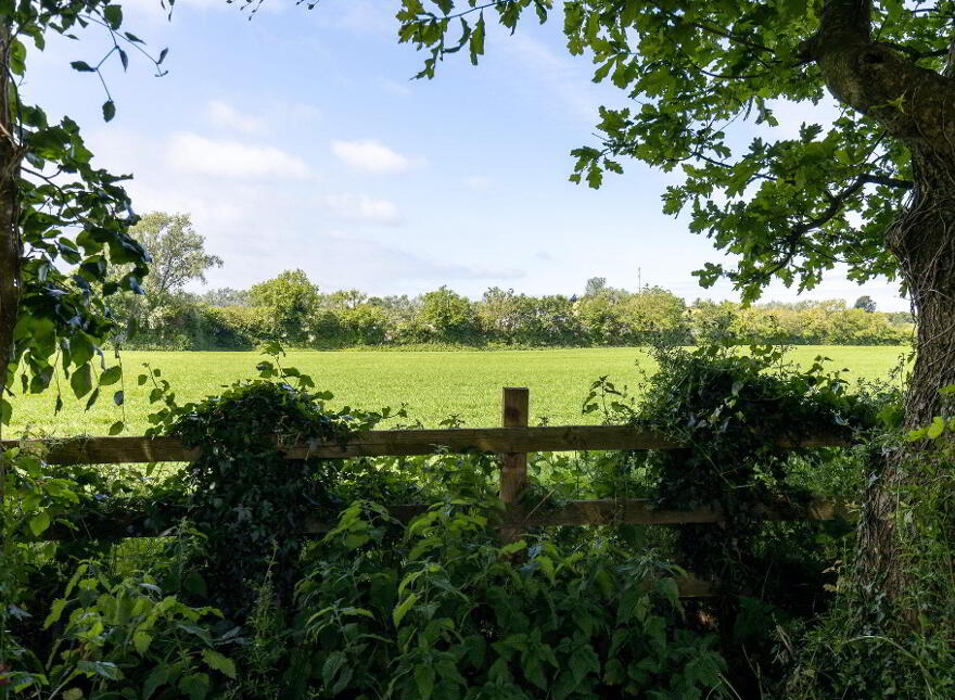 Townparks, Castledermot, Kildare, R14WD62