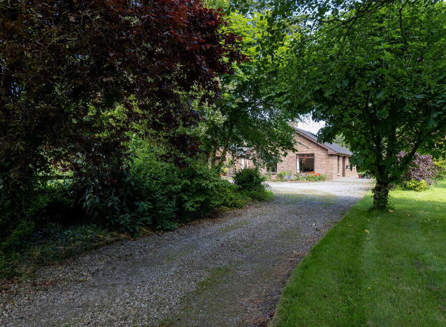 Townparks, Castledermot, Kildare, R14WD62 photo