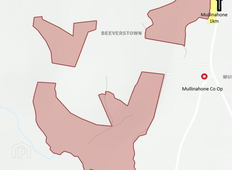 Beeverstown, Mullinahone