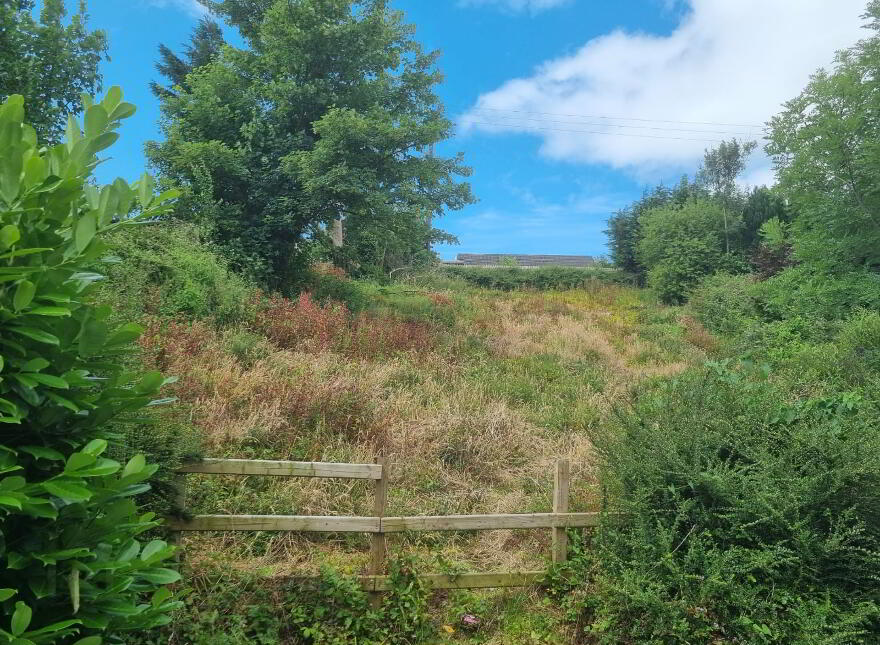 Rosemount Avenue, Armagh photo