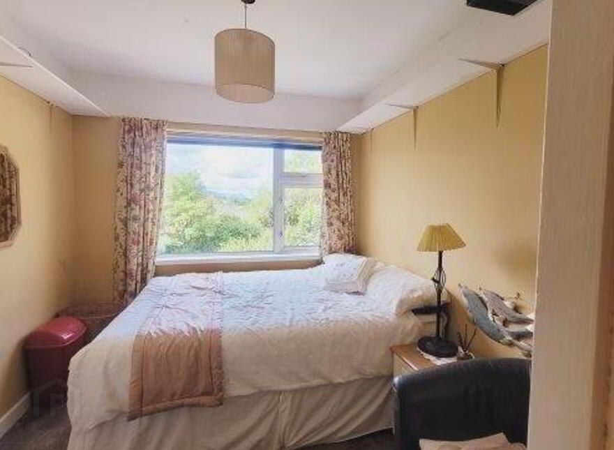 The Lions Mane, 22 Upper Main Street, Ballyshannon, F94X9DP