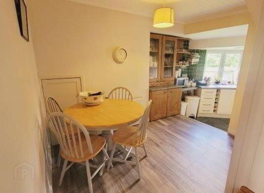 The Lions Mane, 22 Upper Main Street, Ballyshannon, F94X9DP