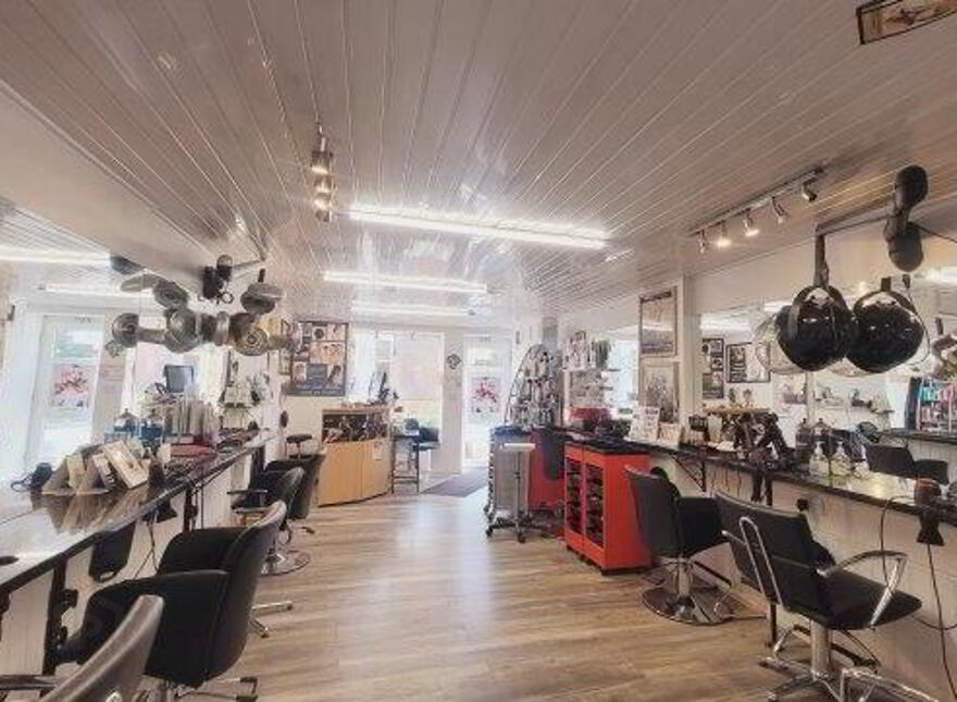 The Lions Mane, 22 Upper Main Street, Ballyshannon, F94X9DP