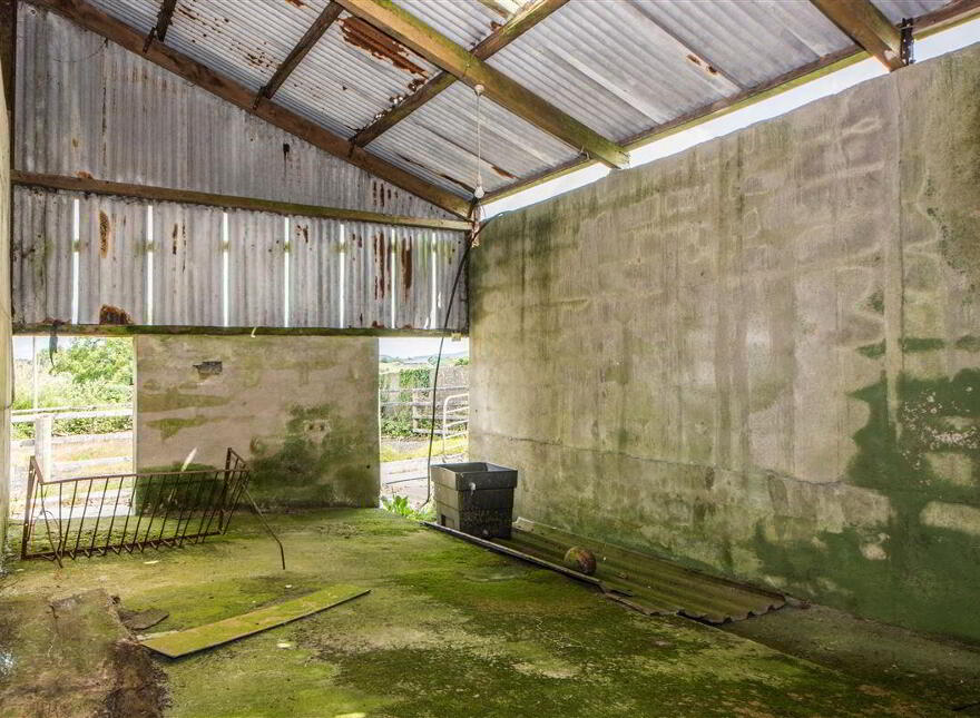 Milleenawillin, Skibbereen, West, P81V663