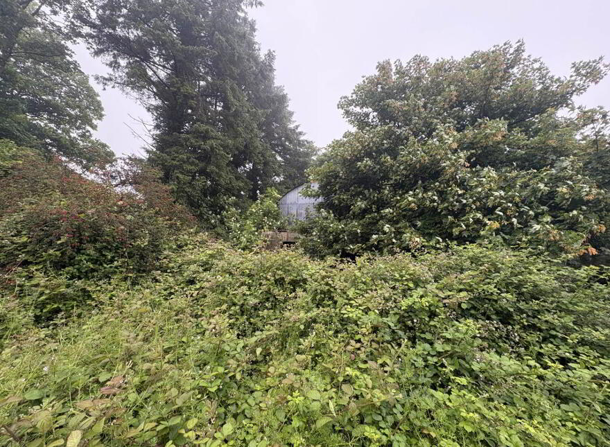 Gortroe, Ballingarry