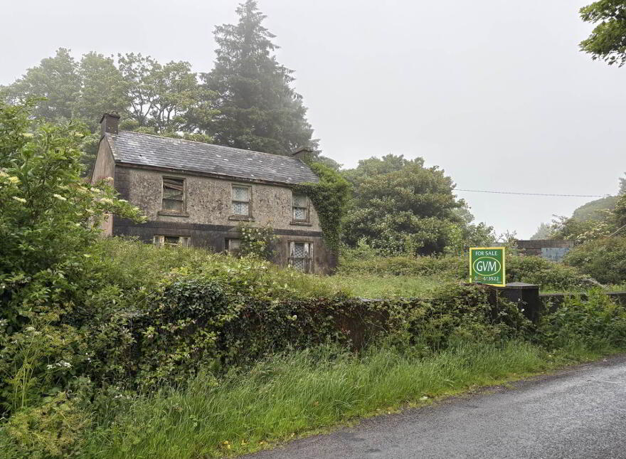 Gortroe, Ballingarry