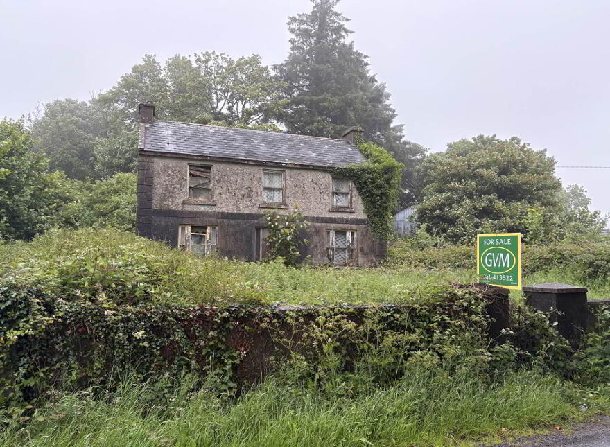 Gortroe, Ballingarry photo