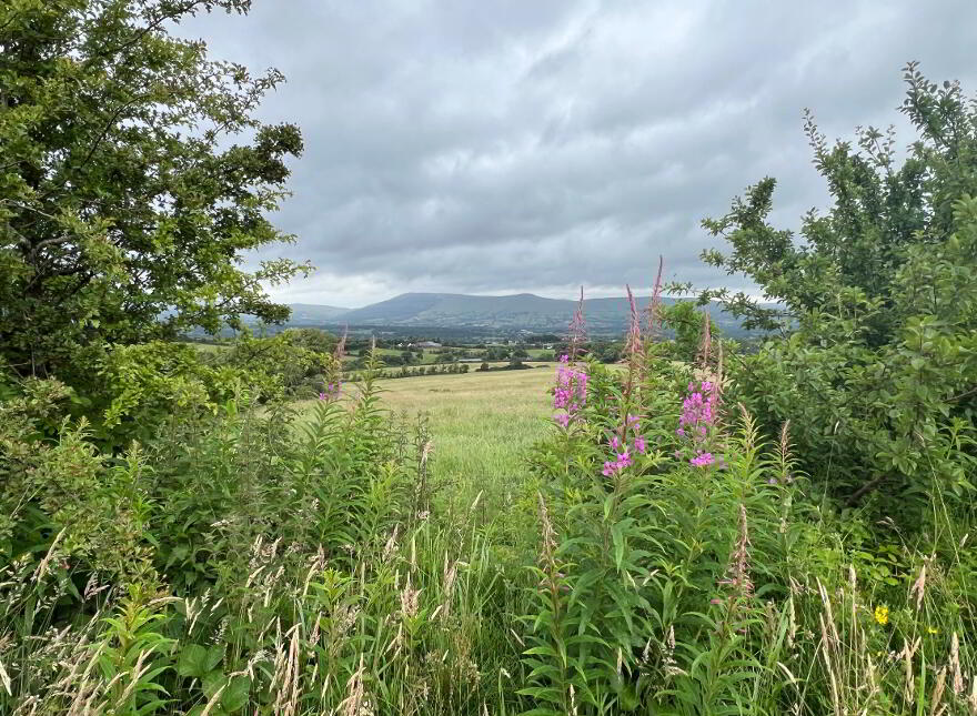 Site With FPP (subfloor Constructed), 80m West Of 70 Cahore Road, Draperstown, BT45 7LY