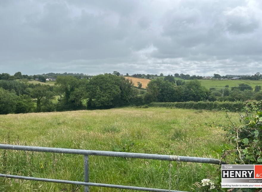 Mullaghroddan Road, Dungannon, BT70 3LU photo