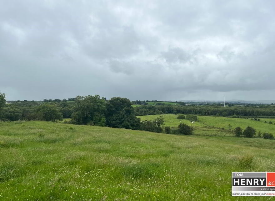 Mullaghroddan Road, Dungannon, BT70 3LU