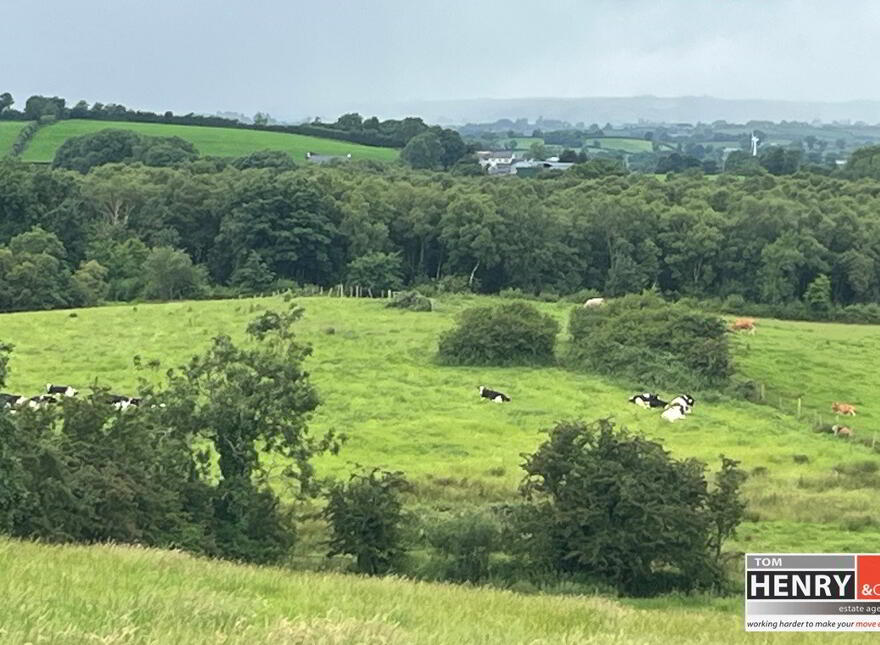Mullaghroddan Road, Dungannon, BT70 3LU