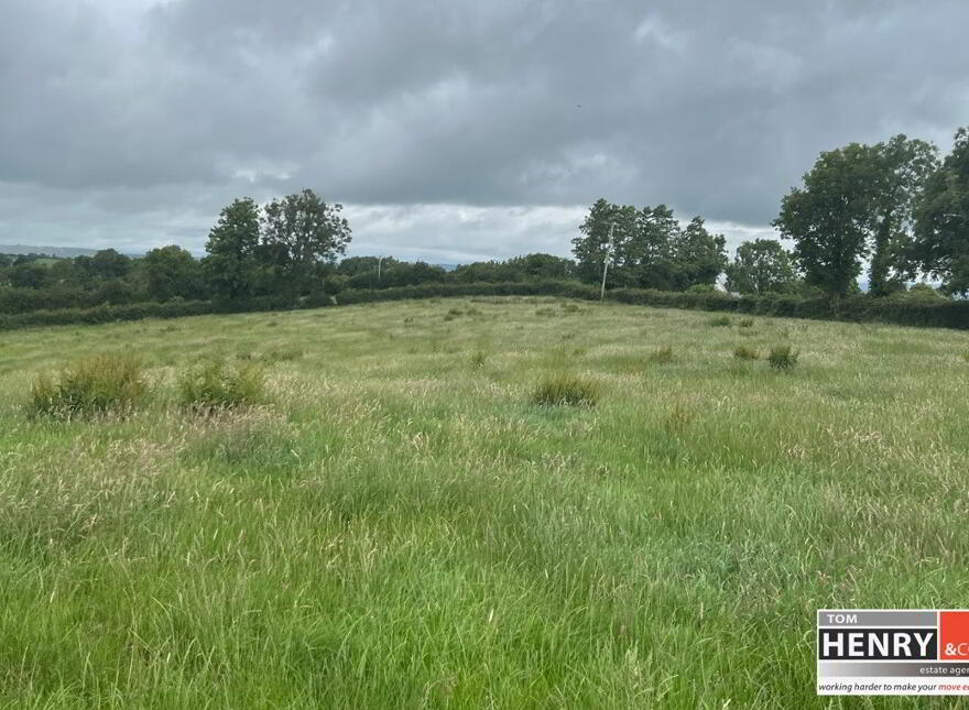 Mullaghroddan Road, Dungannon, BT70 3LU