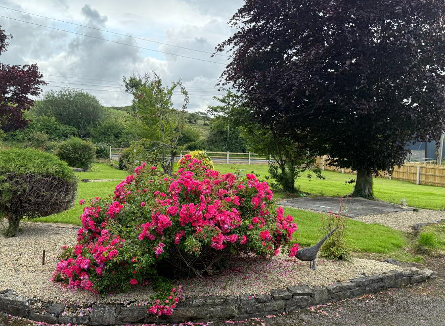 Tobernahoory, Ballintra, F94A2V8