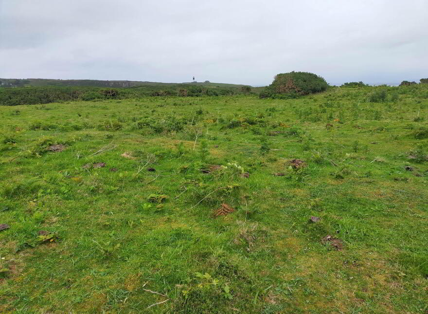 Approx. 22 Acres Land, Coolnagrock, Rathlin Island, Ballycastle, BT54 6RT